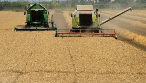 REPUBLIČKI ZAVOD ZA STATISTIKU OBJAVIO PODATKE ZA FEBRUAR: Cene žita otišle u minus