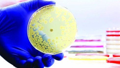 STREPTOKOKNI SINDROM HARA JAPANOM: Retka i opasna bakterijska infekcija širi se rekordnom brzinom