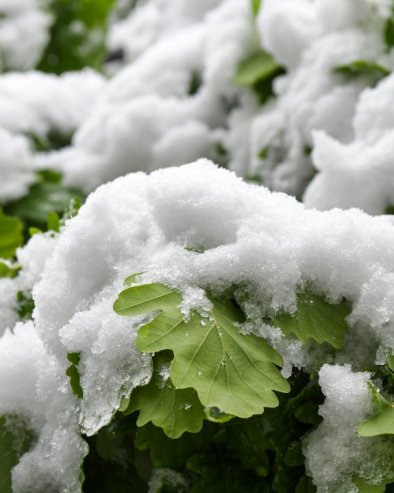 ZABELELO SE U HRVATSKOJ: Sneg pada od jutros, hladni ciklon se produbljuje