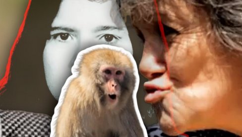 VIDITE JE DANAS: Marinu odgajali majmuni, tragedija se desila kad se VRATILA među ljude - UŽASNO šta su joj uradili (VIDEO)