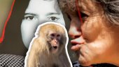VIDITE JE DANAS: Marinu odgajali majmuni, tragedija se desila kad se VRATILA među ljude - UŽASNO šta su joj uradili (VIDEO)