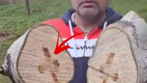 BOŽIJI ZNAK: Sekao drva na Manjači - ugledao MOĆAN SIMBOL (VIDEO)