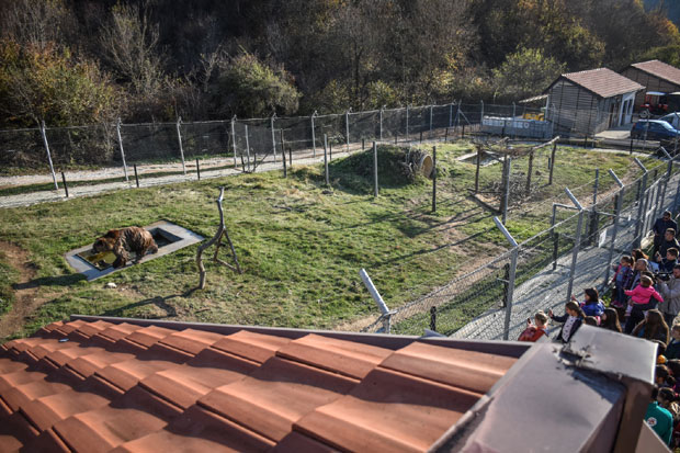 #КФОР, #Задушнице, #Заштита, #Војска, НАТО, #Сила, #Опрема, #Косово, #Метохија, #Србија,