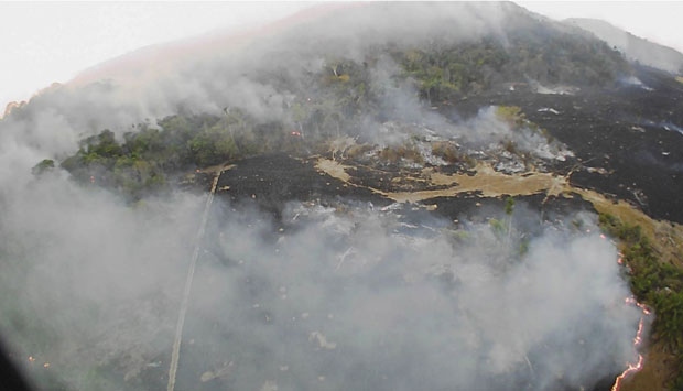 Резултат слика за požara u Amazoniji