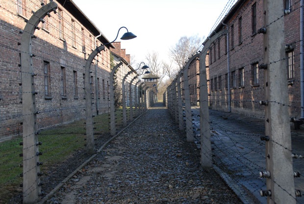  Nacistički logor Aušvic