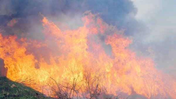 ПРОДУЖЕНО ВАНРЕДНО СТАЊЕ У СИБИРУ: Ватра захватила 1,4 милиона хектара