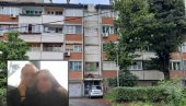 Новости на лицу места: Комшије настрадалог Радета о језивој несрећи код Владе Србије