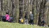 Неће бити сече у Кошутањаку: Весић каже да Град неће дозволити смањење шуме
