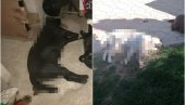 JEZIVA PLJAČKA U VRANJU DOBILA EPILOG: Policija uhapsila pljačkaša koji je ubio pse