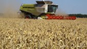 СРБИЈА У ТОП 10: Министарство пољопривреде Холандије сврстало нашу на листу најбољих по напретку