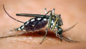 ВИРУС ЗАПАДНОГ НИЛА ОТКРИВЕН У 11 ГРАДОВА: Заражени комарци се шире Србијом