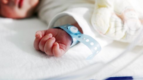 BEJBI BUM U PASJANU: Rođene četiri bebe za šest sati