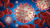 SAD I DALJE DRŽE NESLAVNO PRVO MESTO: Broj zaraženih korona virusom u svetu premašio 154 miliona