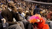 PRODAJE SE NBA KLUB: Garnet kupuje Minesota Timbervulvse