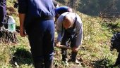 NEMA ŠUME BEZ ŠUMARSKE RUKE: Briga o šumama zapadne Srbije