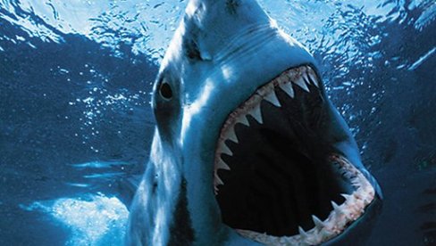 РАСТРГЛЕ СУ 600 ЉУДИ: Највећи масакр у океану - ајкуле четири дана убијале морнаре! (ВИДЕО)