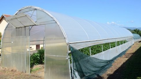 ТРИ НАЈВЕЋА НЕПРИЈАТЕЉА ПЛАСТЕНИКА: Сачувајте конструкцију од ветра, снега и ниске температуре