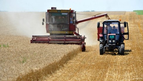 ТРЖИШТЕ ДИВЉА НАКОН ОДЛУКЕ МОСКВЕ: Цена пшенице скочила за 8,2 одсто због напете ситуације у Црном мору