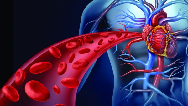 Ево како да побољшате крвоток