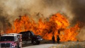 НЕЗАУСТАВЉИВА ВАТРЕНА СТИХИЈА: Пожар захватио више од 20.500 хектара
