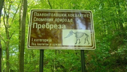 БУЈИЦА ОДНЕЛА, АЛИ И ОТКРИЛА: Последице невремена на палеонтолошком фосилном налазишту пребреза код Блаца