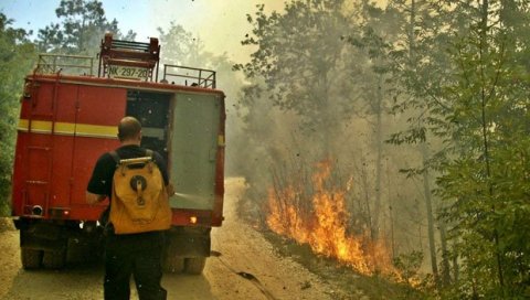 МУП ЦГ: Очекујесе да ће пожар у Вирпазару бити угашен