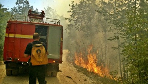 STROŽE KAZNE ZA PIROMANE: Formiran Savez vatrogasaca Crne Gore, sledi promena regulative koja za izazivanje požara na otvorenom