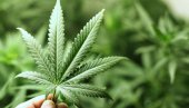 ИЗГЛАСАН ПРЕДЛОГ ЗАКОНА: Вирџинија прва јужњачка америчка држава која је легализовала марихуану
