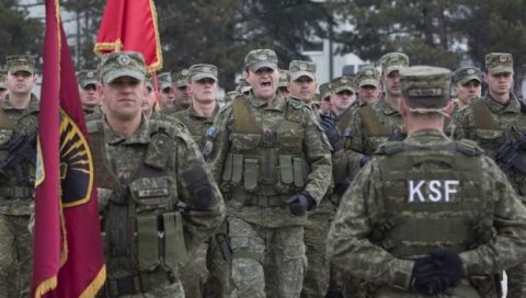 СУМАНУТА ИНИЦИЈАТИВА АЛБАНСКОГ ПОЛИТИЧАРА: Тражи да лажна држава пошаље војску у Украјину