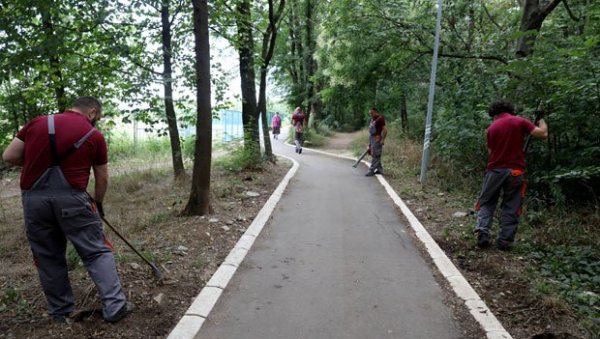 АВАЛА СТУДИОС  ЧИСТИО ШИБЉЕ: Фирма заинтересована за градњу у Кошутњаку уредила пешачку стазу