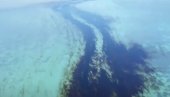 TIRKIZNA VODA POSTAJE CRNA: Ekološka katastrofa na Mauricijusu (VIDEO)
