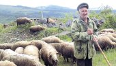 У ИЗОЛАЦИЈИ ЧИТАВ ЖИВОТ: Ретки пастири на Старој и Сувој планини одавно су заштићени од вируса