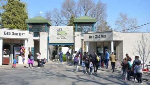 НОВО РАДНО ВРЕМА: Ево у ком термину ћете сада моћи да посетите Београдски зоолошки врт