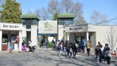 НОВО РАДНО ВРЕМА: Ево у ком термину ћете сада моћи да посетите Београдски зоолошки врт
