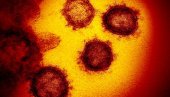 PREMA POSLEDNJIM PODACIMA:  Broj zaraženih korona virusom u svetu premašio 66 miliona