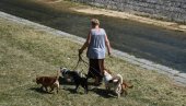 UREBA NEMAČKE VLADE: Psi obavezno da se izvode dva puta dnevno, zabranjeno držanje na lancu