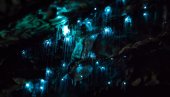 ОВО ЈЕ НЕСТВАРНО! Прошетајте пећином светлећих црва на Новом Зеланду! (ВИДЕО)