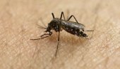 OD VIRUSA ZAPADNOG NILA PREMINULO JE DVOJE LJUDI: Dovoljna je jedna saksija sa tacnom punom vode da se stvori žarište komaraca