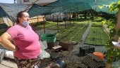 ТЕЗГЕ ПУНЕ ЗДРАВЉА: Произвођачи органског поврћа представљају своју робу на новосадској Рибљој пијаци
