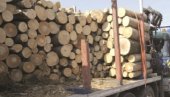CENE OGREVA KOD ŠAPCA: Koliko koštaju drva, a koliko pelet
