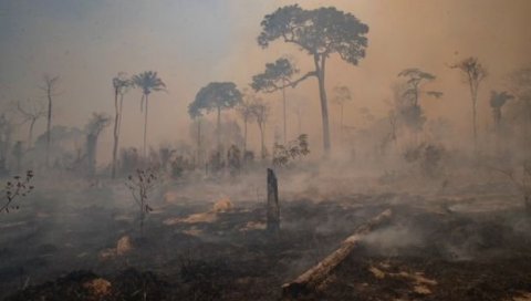 АМАЗОНИЈА ПОНОВО БУКТИ: Пожари прете да буду гори од прошлогодишњих