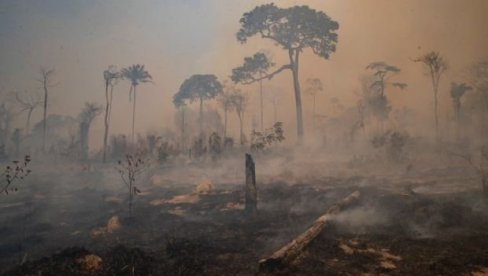 АМАЗОНИЈА ПОНОВО БУКТИ: Пожари прете да буду гори од прошлогодишњих