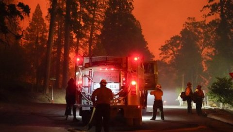 ВАТРЕНА СТИХИЈА У ПОРТУГАЛУ: Око 1.000 ватрогасаца гаси пожар у централном делу земље