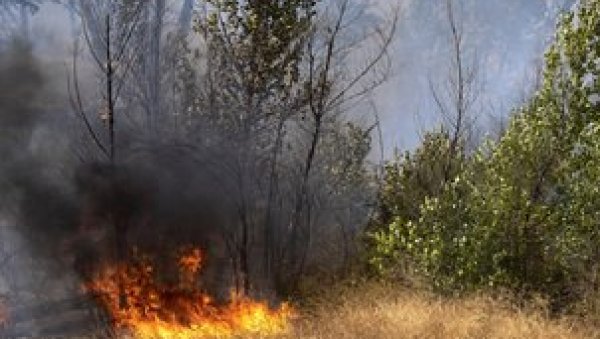 НОВИ ПОЖАР БУКНУО У МАКАРСКОЈ: Ватрена стихија захватила борову шуму