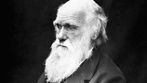 БРИТАНСКИ ПРИРОДЊАЧКИ МУЗЕЈ: Врши ревизију Дарвинове колекције у светлу расизма