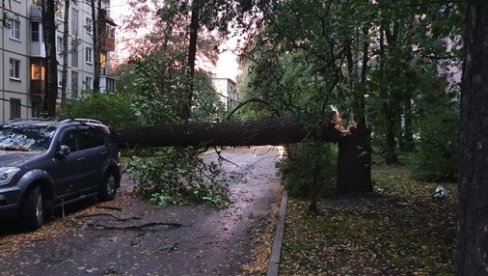 OLUJA ZAHVATILA SANKT PETERBURG: Jak vetar oborio 300 stabala, uništio 14 automobila, najmanje dvoje povređeno