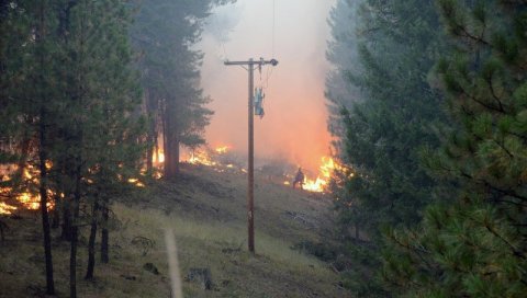 ВРЕЛИ И СУВИ УСЛОВИ: У САД-у велики број шумских пожара због екстремних температура