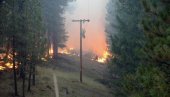 VRELI I SUVI USLOVI: U SAD-u veliki broj šumskih požara zbog ekstremnih temperatura