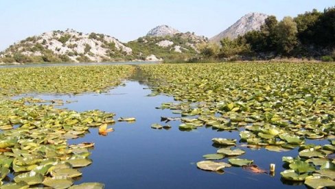 OTKAZI BEZ AGITOVANJA? Revanšizam prema radnicima u NP Skadarsko jezero