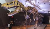 ЖИВЕЛИ СУ ПРЕ 125 МИЛИОНА ГОДИНА: Научници у Енглеској открили две нове врсте диносауруса